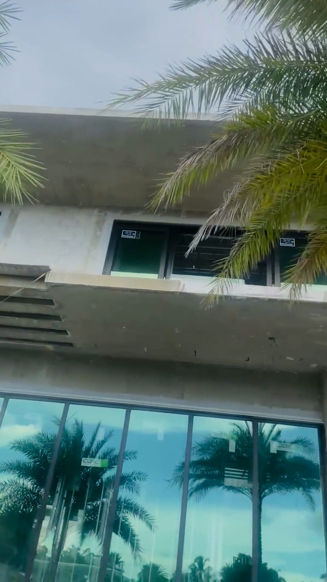 A two-storey modern home behind palms, with new glass across the ground floor and the upper balcony